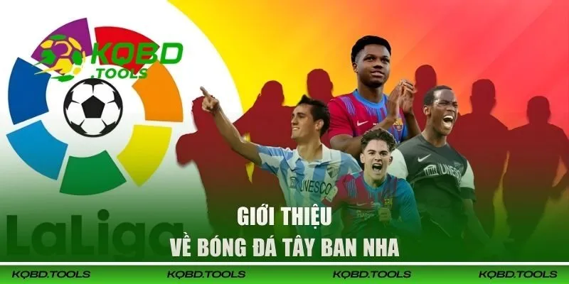 Giới thiệu về bóng đá Tây Ban Nha
