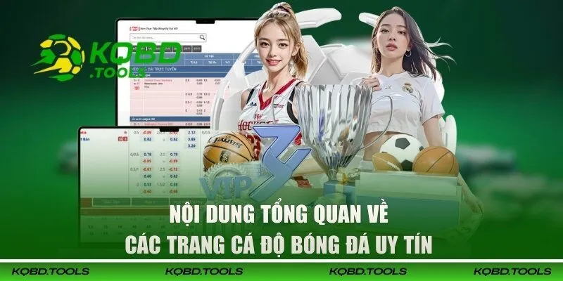 Nội dung tổng quan về các trang cá độ bóng đá uy tín 