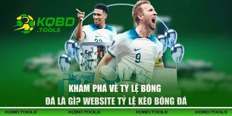 Khám phá về tỷ lệ bóng đá là gì? Website tỷ lệ kèo bóng đá