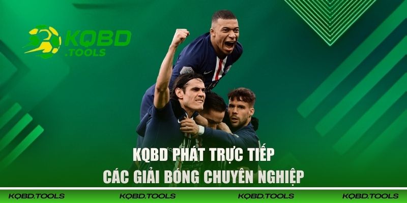 KQBD phát trực tiếp các giải bóng chuyên nghiệp